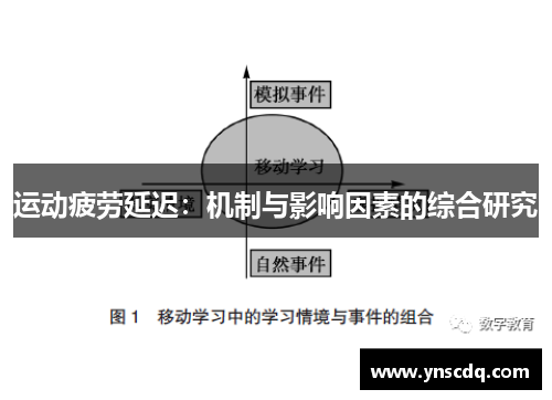 运动疲劳延迟：机制与影响因素的综合研究